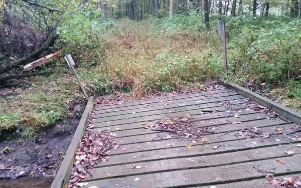 Trail Brushing