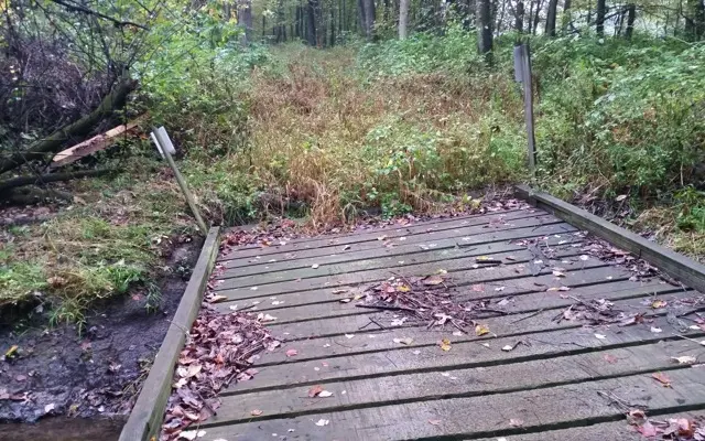 Trail Brushing